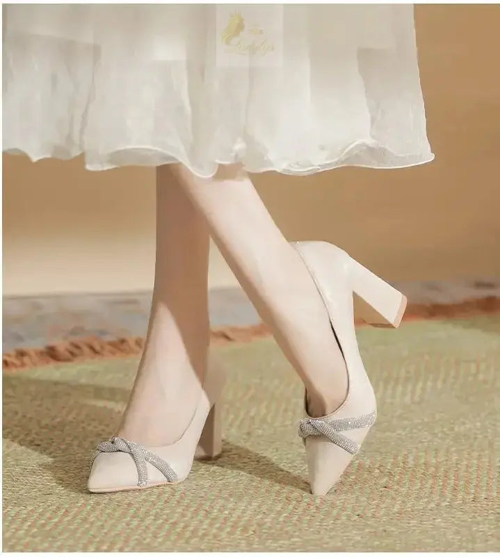 Chunky Heel Pointed Toe Rhinestone Suede High-heeled Shoes Women Block Heel Pumps LADYLYS