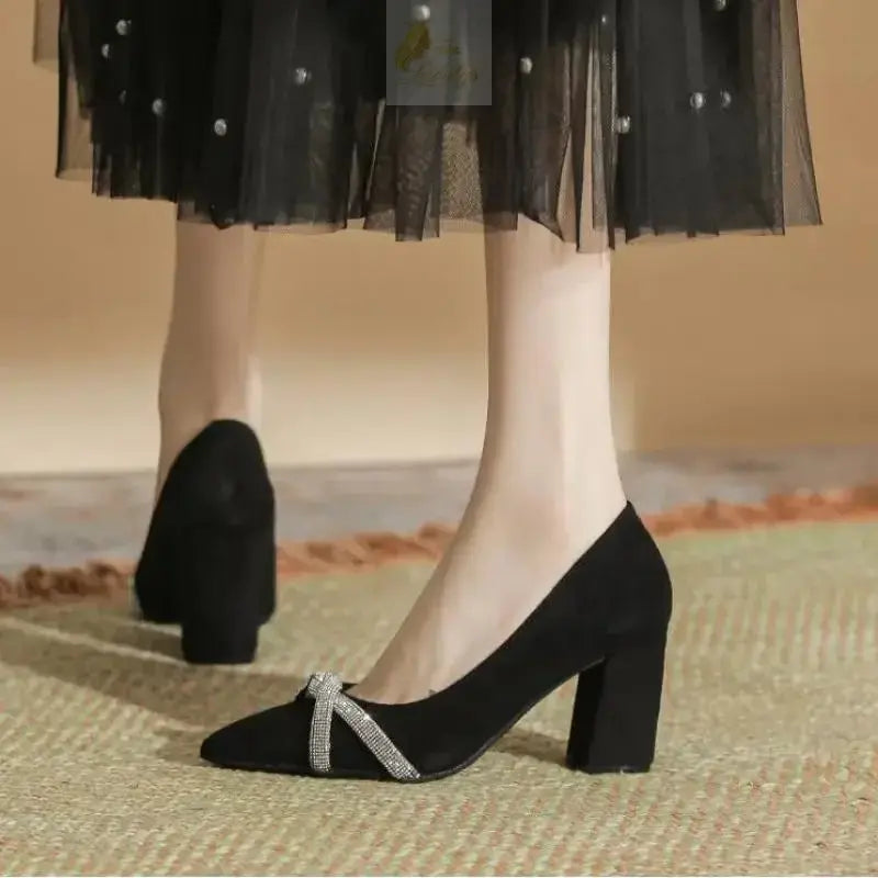 Chunky Heel Pointed Toe Rhinestone Suede High-heeled Shoes Women Block Heel Pumps LADYLYS
