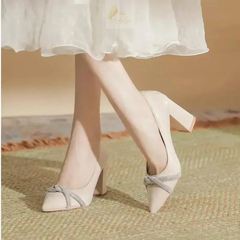 Chunky Heel Pointed Toe Rhinestone Suede High-heeled Shoes Women Block Heel Pumps LADYLYS