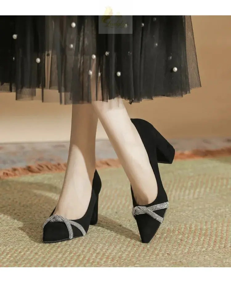 Chunky Heel Pointed Toe Rhinestone Suede High-heeled Shoes Women Block Heel Pumps LADYLYS