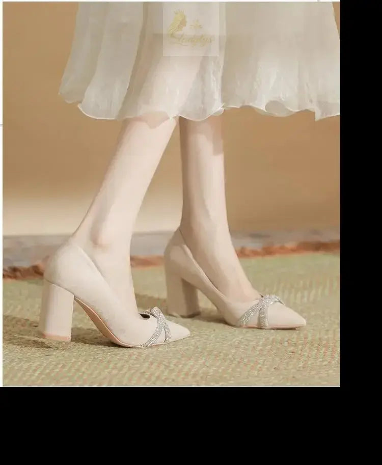 Chunky Heel Pointed Toe Rhinestone Suede High-heeled Shoes Women Block Heel Pumps LADYLYS