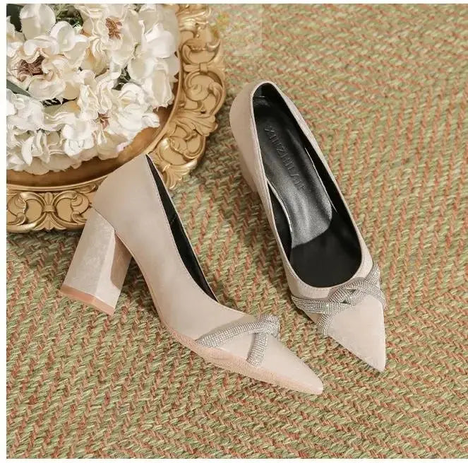 Chunky Heel Pointed Toe Rhinestone Suede High-heeled Shoes Women Block Heel Pumps LADYLYS