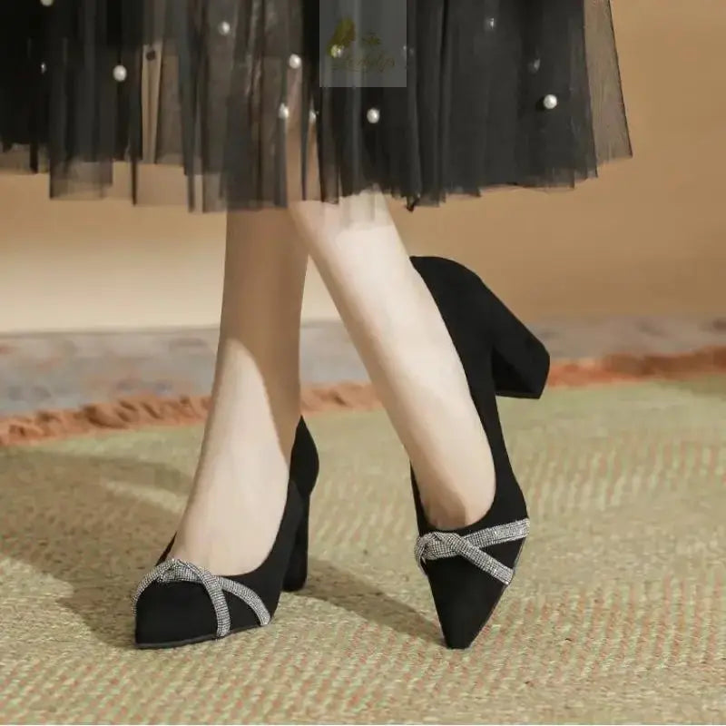 Chunky Heel Pointed Toe Rhinestone Suede High-heeled Shoes Women Block Heel Pumps LADYLYS